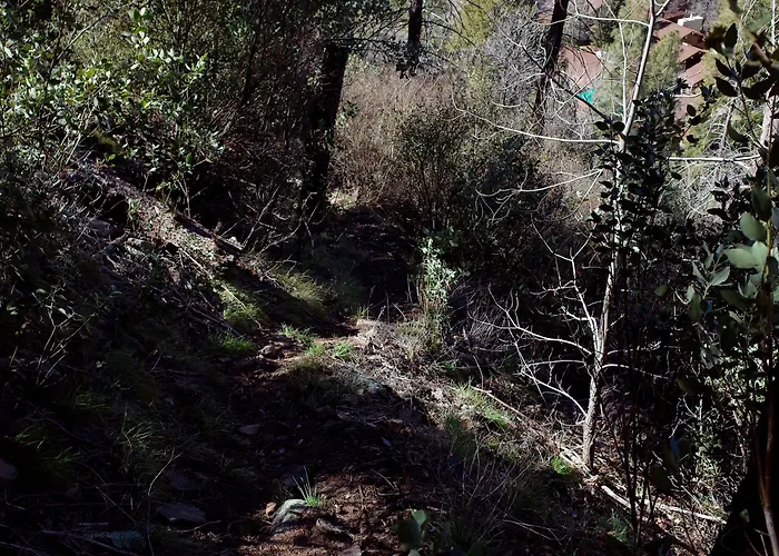 Junipine Resort Sedona